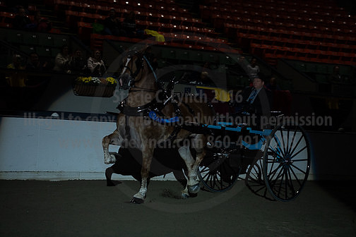BigE_20230929-SCL-7529