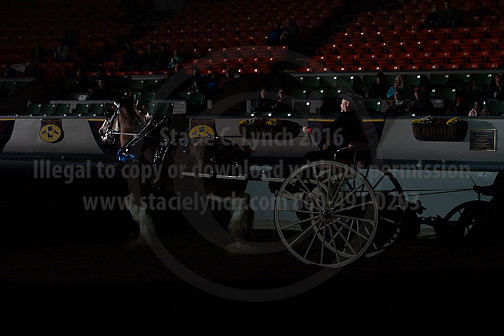 BigE_20230929-SCL-7555