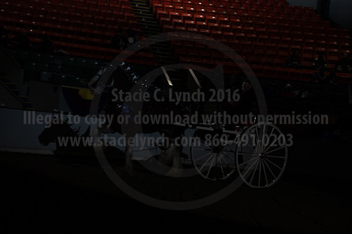 BigE_20230929-SCL-7557