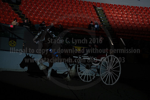 BigE_20230929-SCL-7558