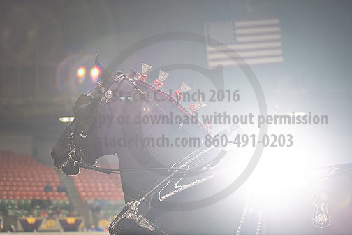 BigE_20230929-SCL-7609