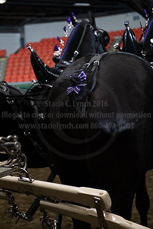 BigE_20230929-SCL-7883