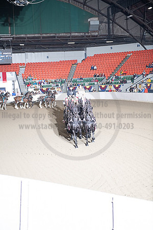BigE_20230930-SCL-7956