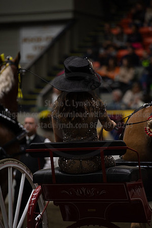 BigE_20230930-8606