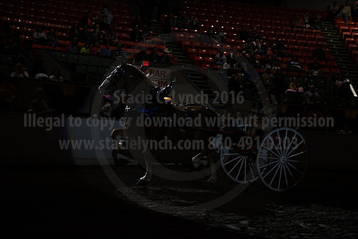 BigE_20230930-8637