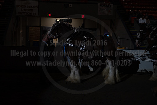 BigE_20230930-8898