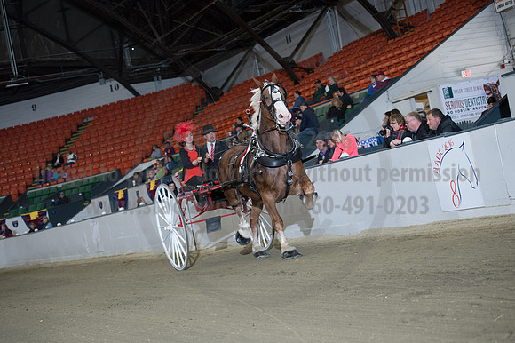 NABC8_10152016_SCL_0401