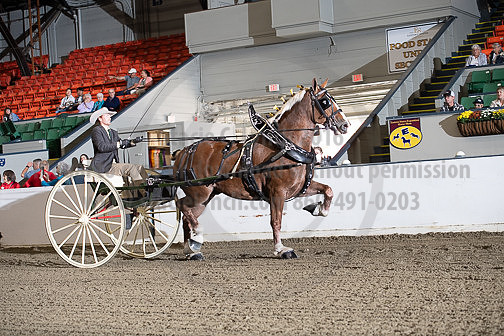 BigE_20231001-SCL-9115