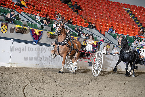 BigE_20231001-SCL-9210