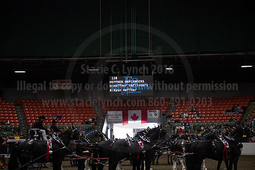 BigE_20231001-SCL-9305