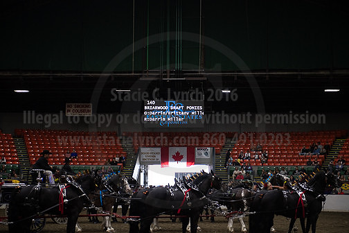 BigE_20231001-SCL-9306