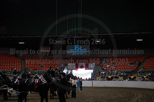 BigE_20231001-SCL-9317