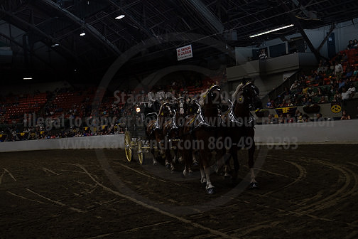 BigE_20231001-SCL-9649