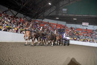BigE_20231001-SCL-9391