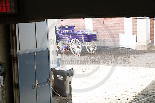 BigE_20231001-SCL-9807