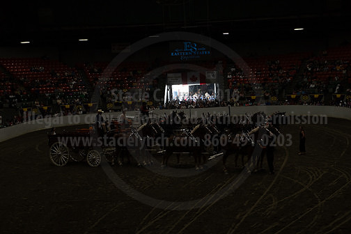 BigE_20231001-SCL-9811