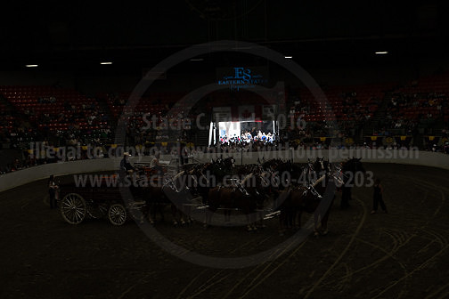 BigE_20231001-SCL-9812