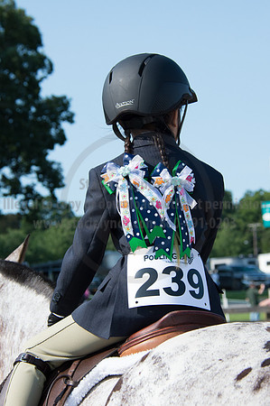 2016DCF_08242016_SCL_8539