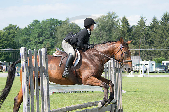 2016DCF_08262016_SCL_0238