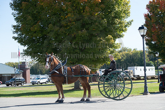 NABC8_10152016_SCL_0559