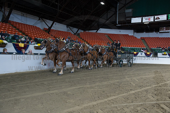 NABC8_10142016_SCL_8569