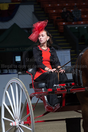 NABC8_10152016_SCL_0414
