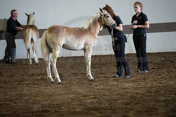 ISF_08192016_SCL_4589