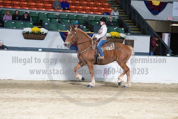NABC8_10142016_SCL_8340