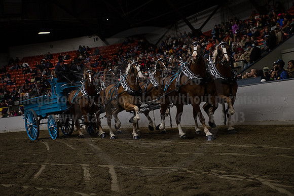 BigE_20221002-SCL_4856