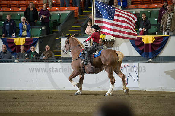 NABC8_10132016_SCL_7025