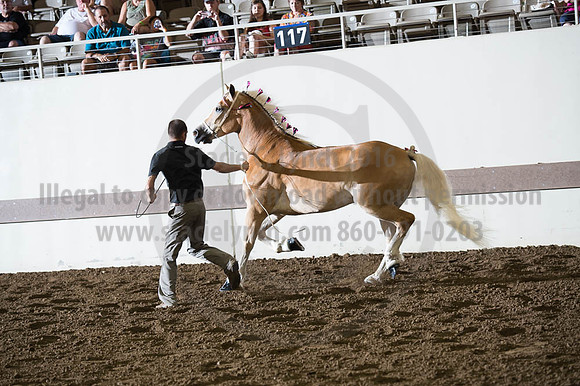 ISF_08192016_SCL_5757