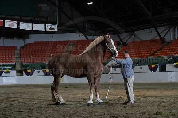 NABC8_10152016_SCL_1833