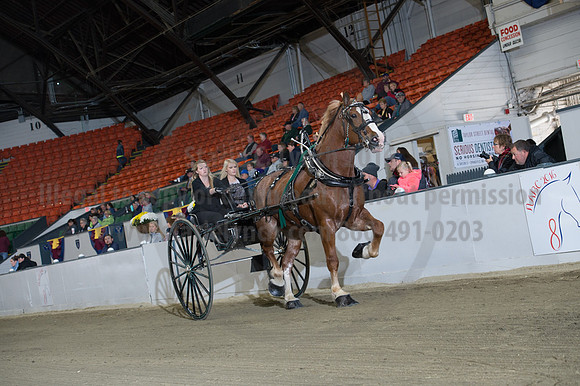 NABC8_10152016_SCL_0542