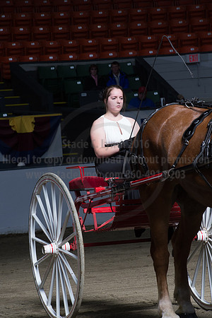 NABC8_10152016_SCL_0492