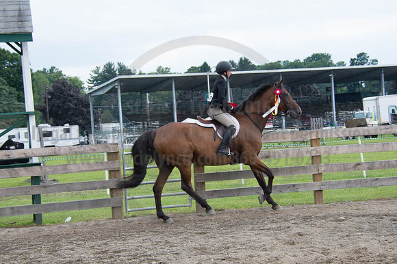 2016DCF_08252016_SCL_0077