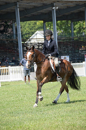 2016DCF_08262016_SCL_0481