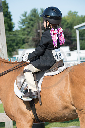 2016DCF_08242016_SCL_8502