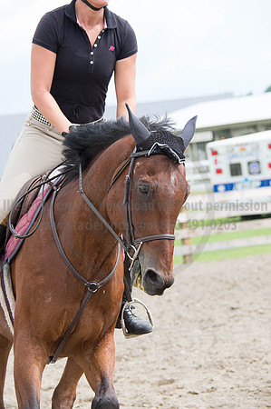 2016DCF_08262016_SCL_0372