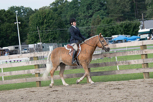 2016DCF_08252016_SCL_9594