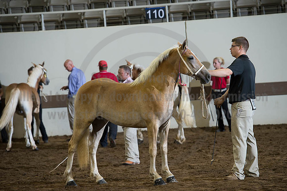 ISF_08192016_SCL_4546