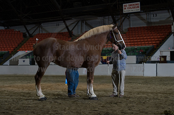 NABC8_10152016_SCL_1844