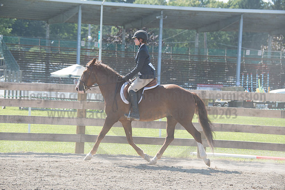 2016DCF_08242016_SCL_9295