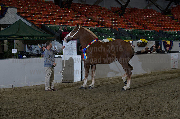 NABC8_10152016_SCL_1828