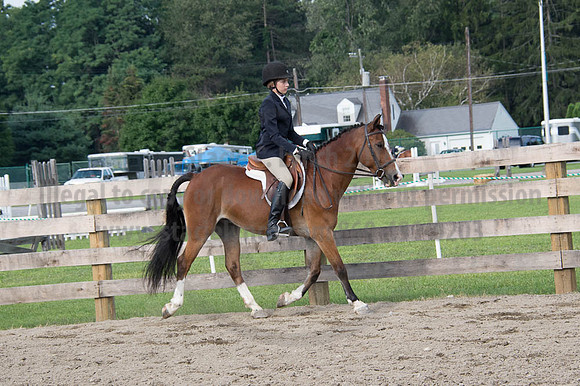 2016DCF_08252016_SCL_9592