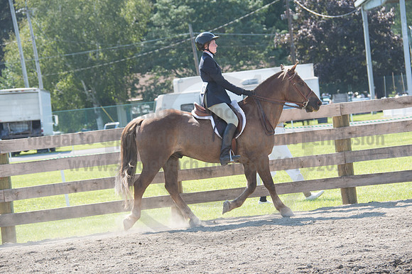 2016DCF_08242016_SCL_9303