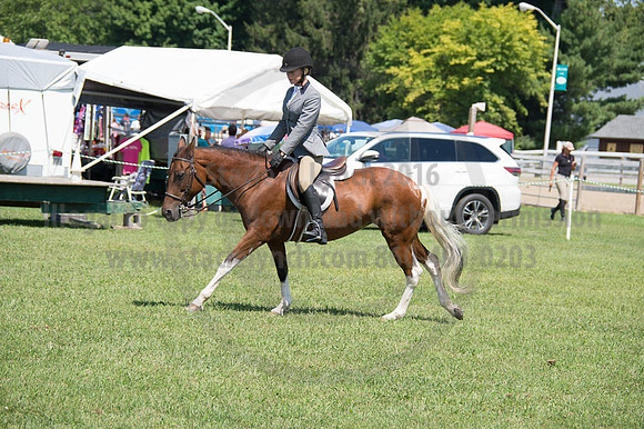 2016DCF_08262016_SCL_0527