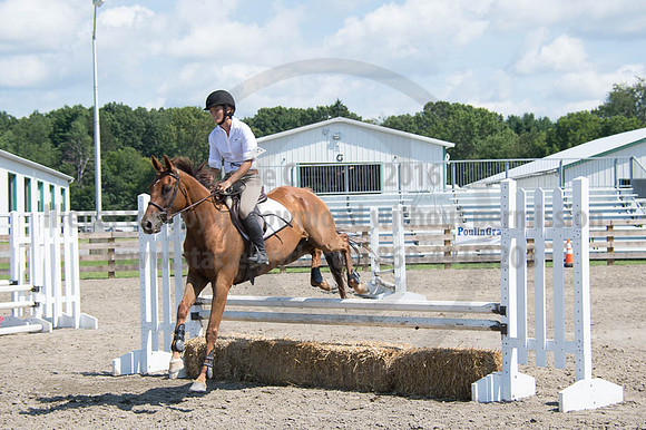 2016DCF_08262016_SCL_0685