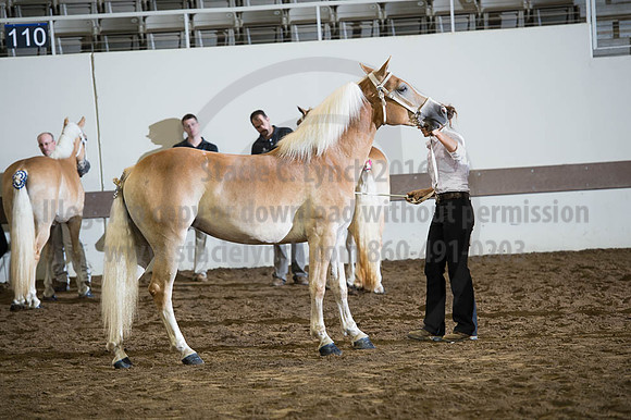 ISF_08192016_SCL_4426
