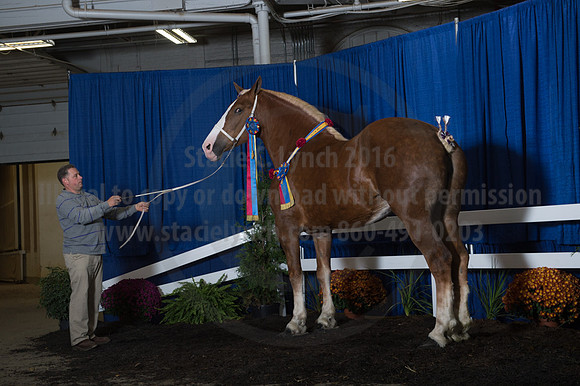 NABC8_10152016_SCL_1882