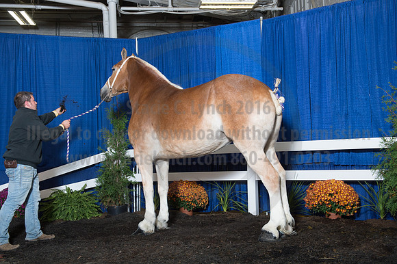 NABC8_10152016_SCL_1968